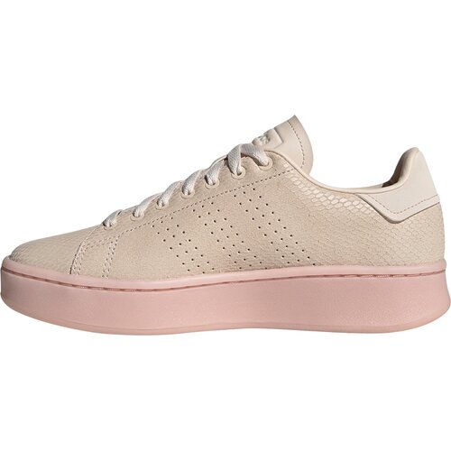 DAMEN TENNISINDOORSCHUHE ADVANTAGE BOLD