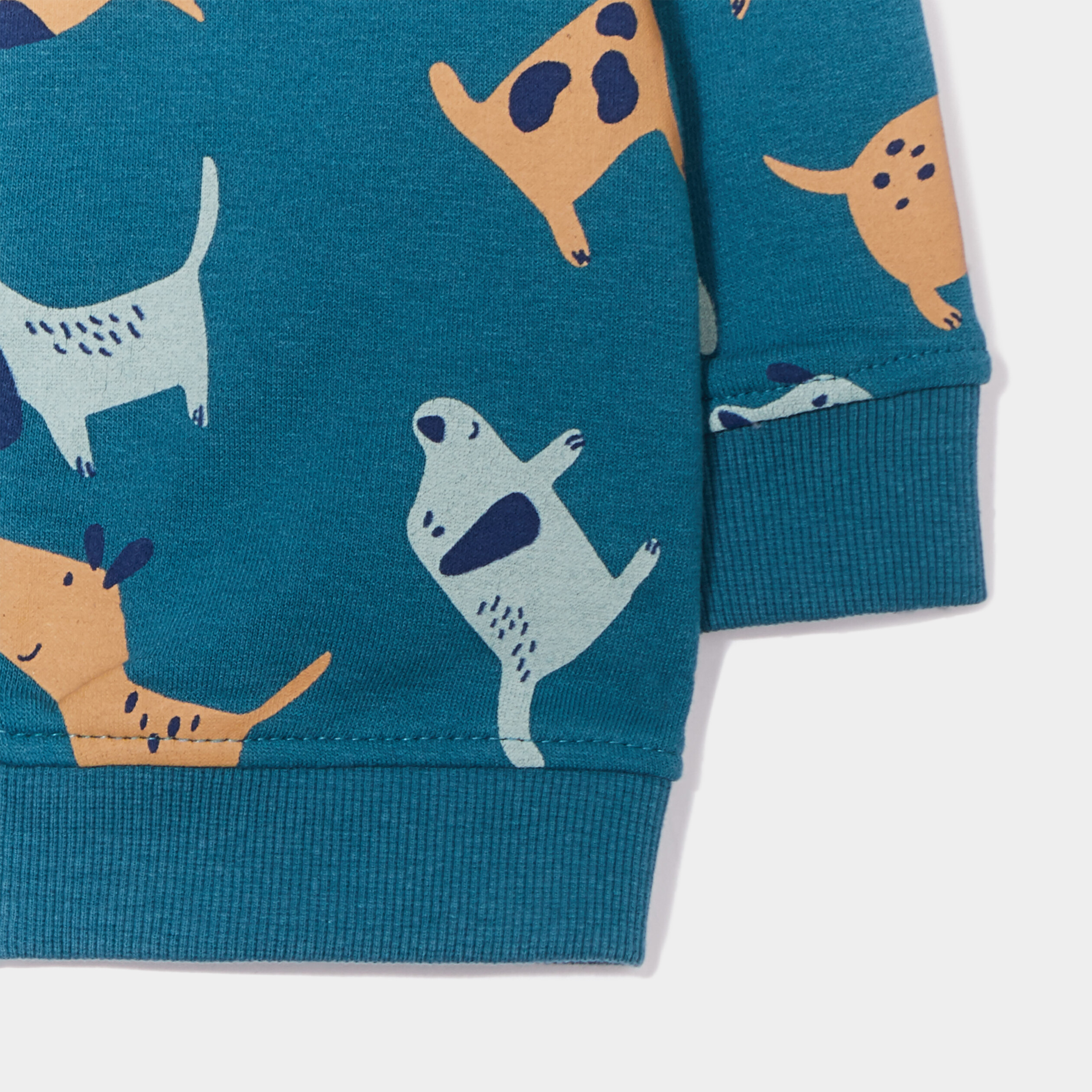 Sweat zippé à capuche coton vert canard bébé garçon | La Halle