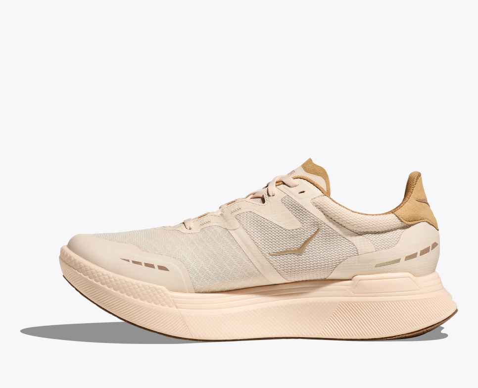Transport X Vanilla / Wheat