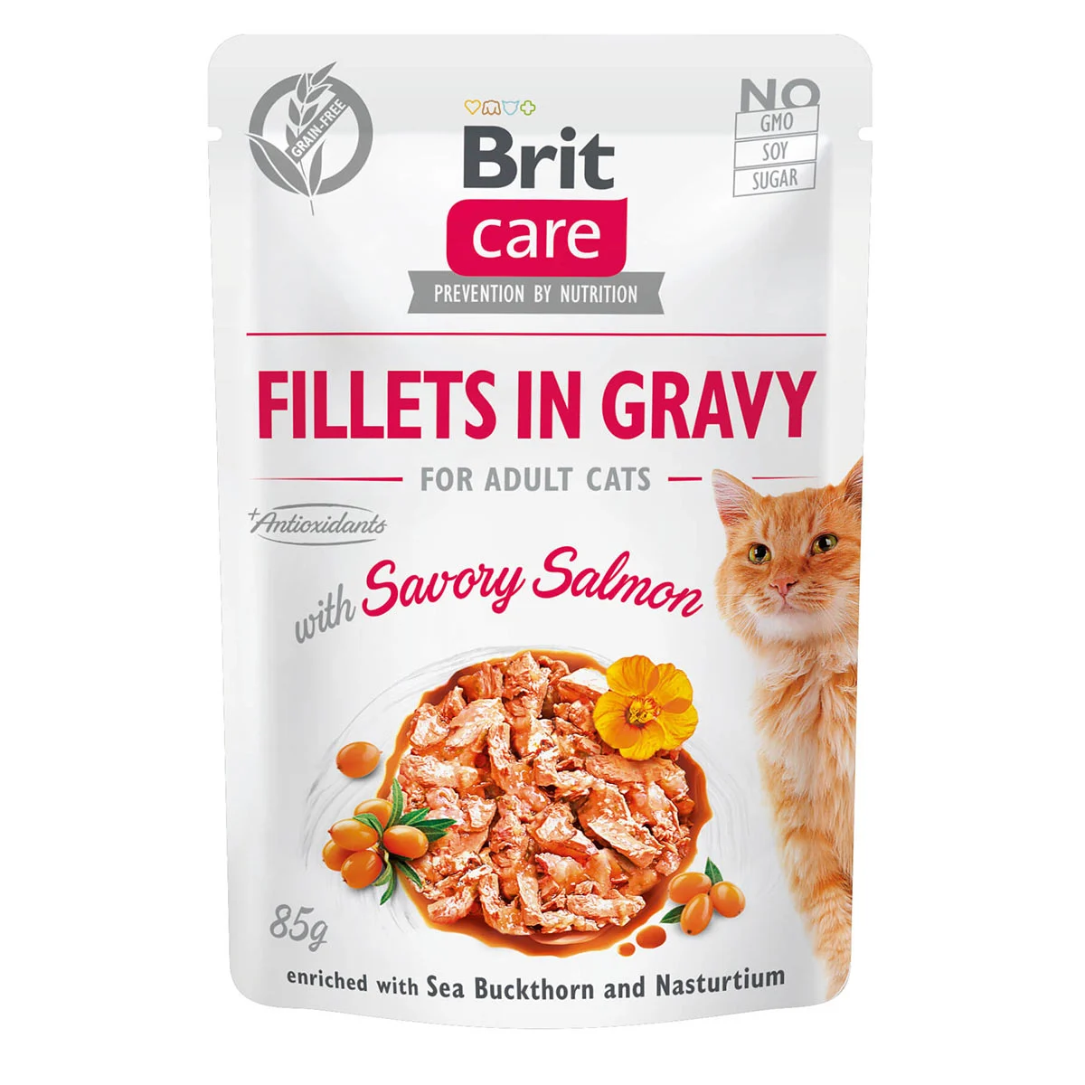 Brit Care Cat Fillets in Gravy with Savory Salmon bei ZooRoyal