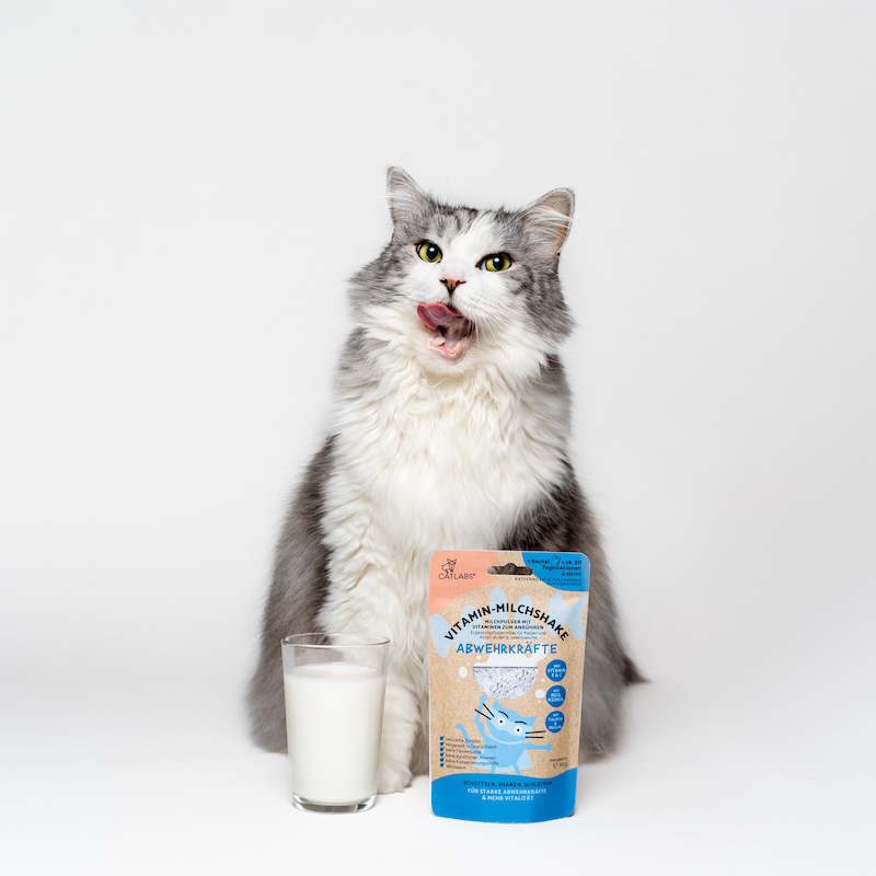 Catlab Katzenmilch & Getränke Catlab Vitamin-Milchshake für Katzen Abwehrkräfte