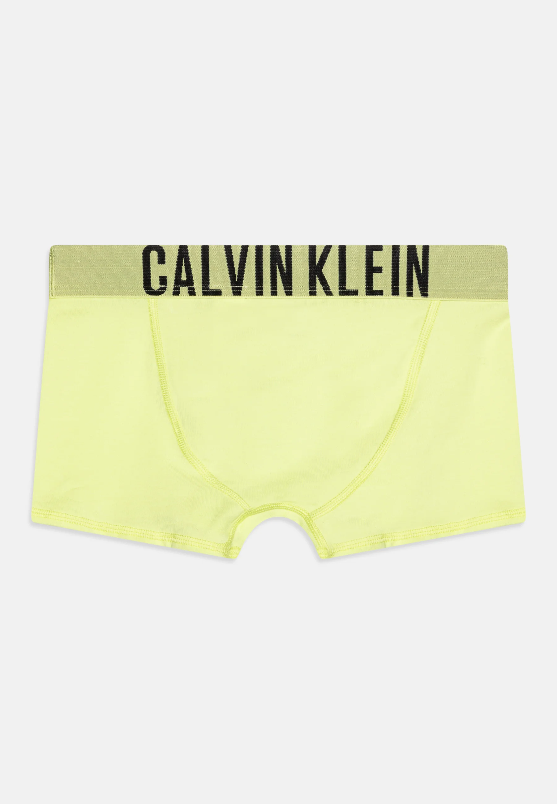 Calvin Klein Underwear TRUNK PACK DE 2 - Culotte