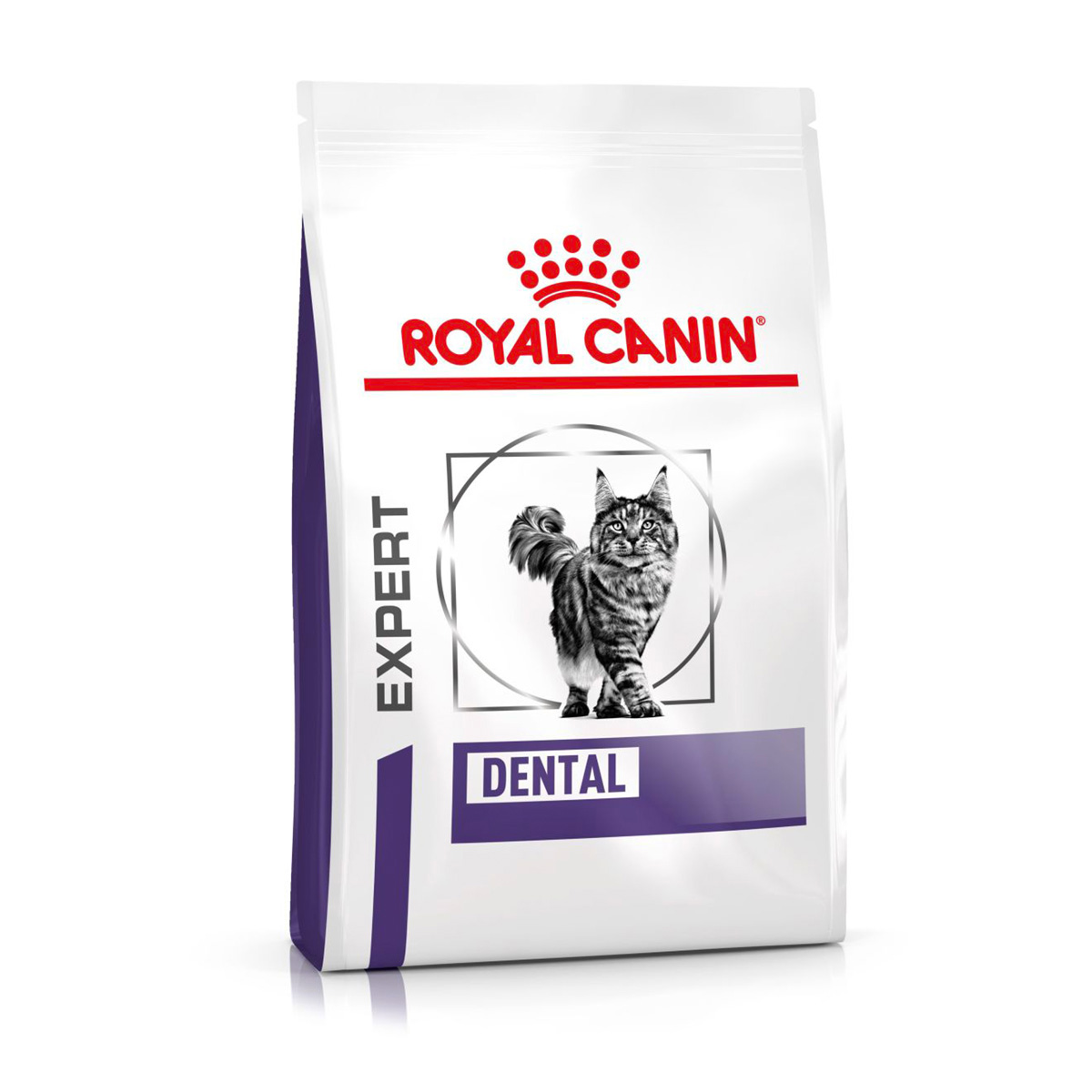 ROYAL CANIN Expert DENTAL Trockenfutter für Katzen