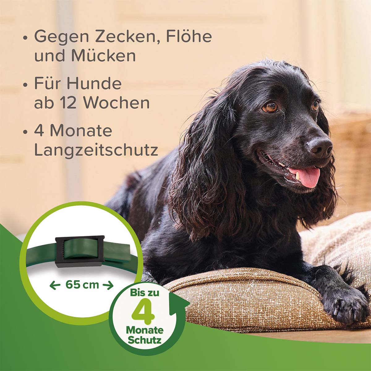 beaphar Zecken- und Flohschutz Halsband für Hunde 65cm