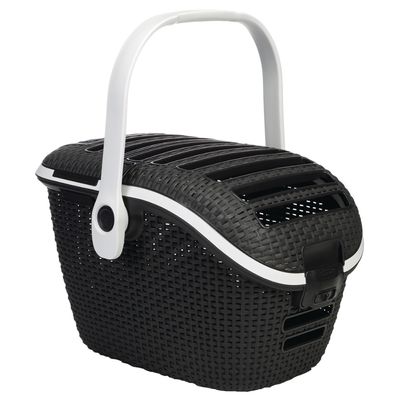Curver Transport Box