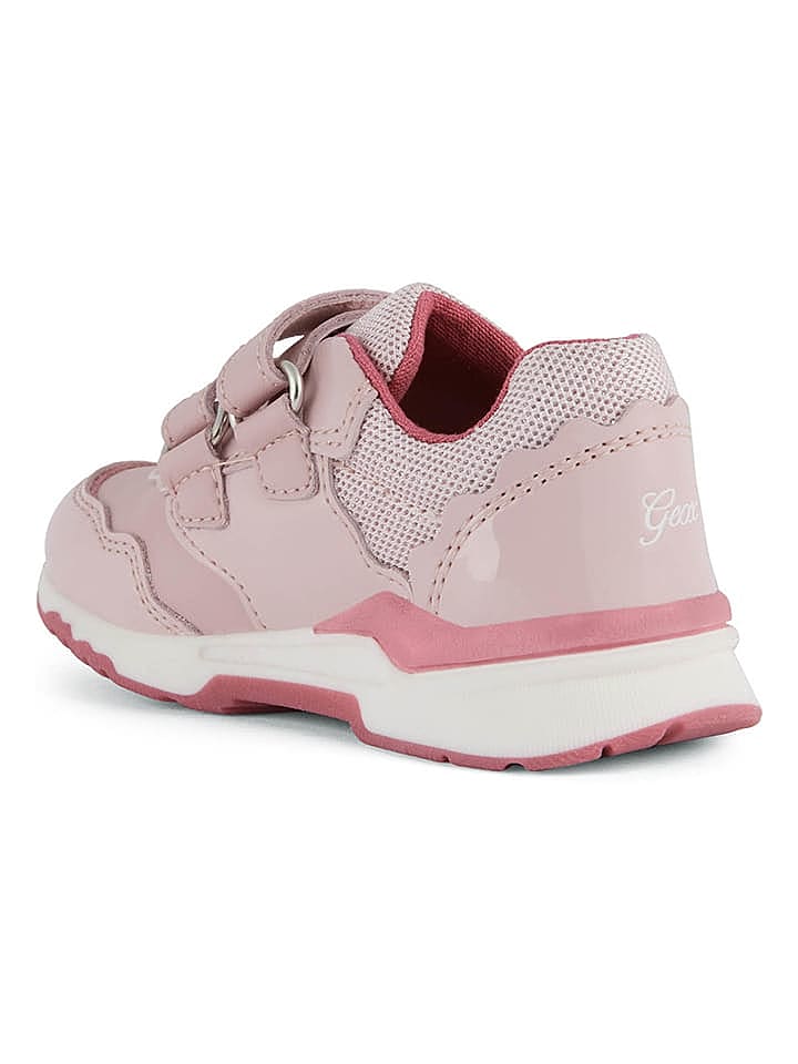 Geox Sneakers 