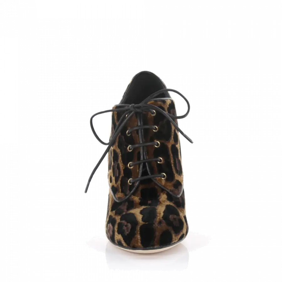 Dolce & Gabbana - Stiefeletten - bunt