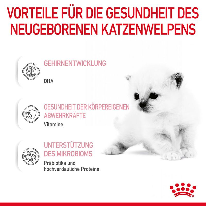 Royal Canin Babycat Milk zu TOP-Preisen