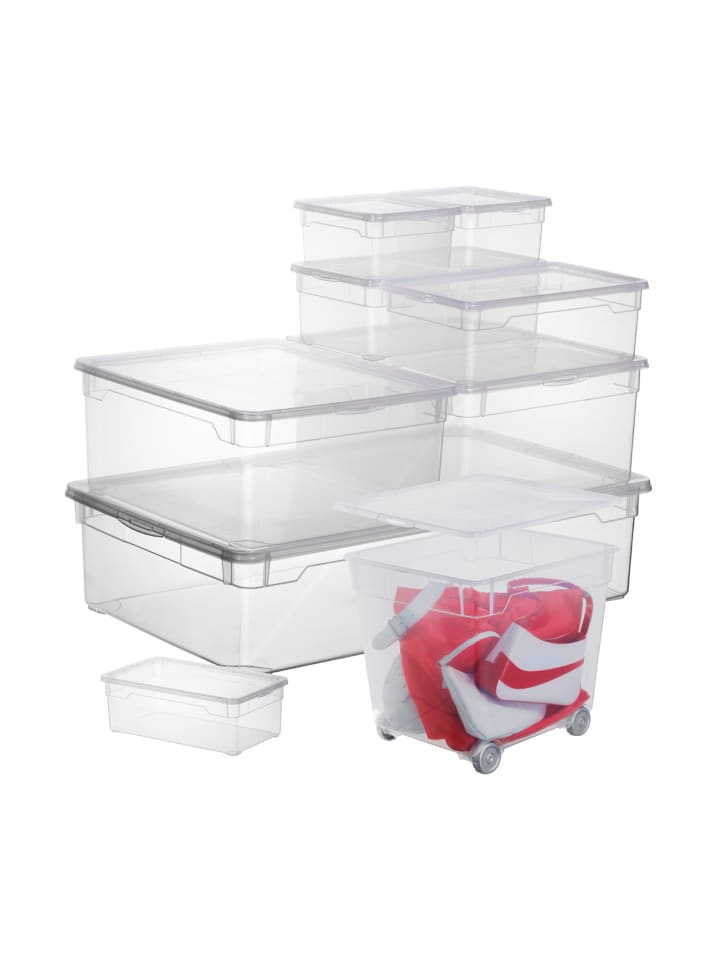 Rotho 3er Set Box Men Shoe CLEAR günstig kaufen onesize