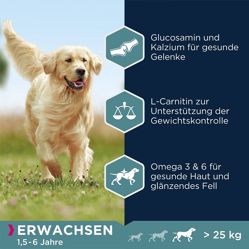 EUKANUBA Hundetrockenfutter EUKANUBA Adult Large Breed Lamm & Reis 12 kg