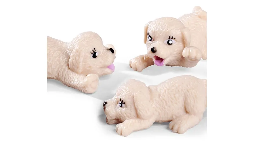 Simba - Evi Love - Puppy Doctor