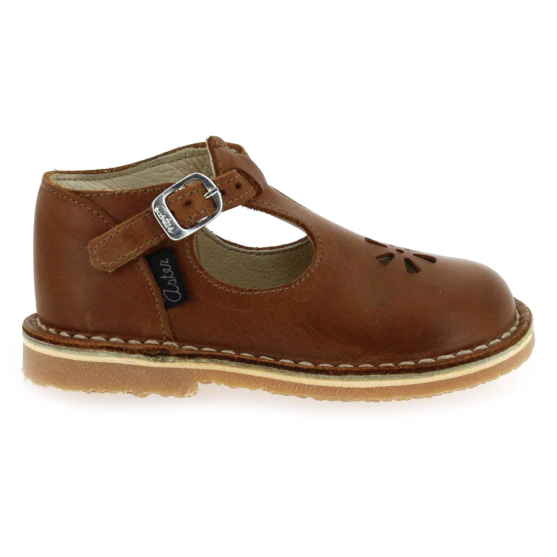 Aster  BIMBO - Cognac