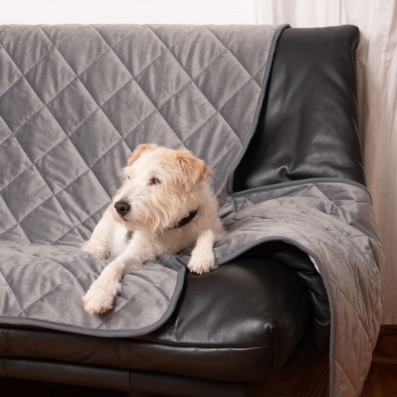Smartpet Sofa Überwurf wendbar zu TOP-Preisen % | bitiba