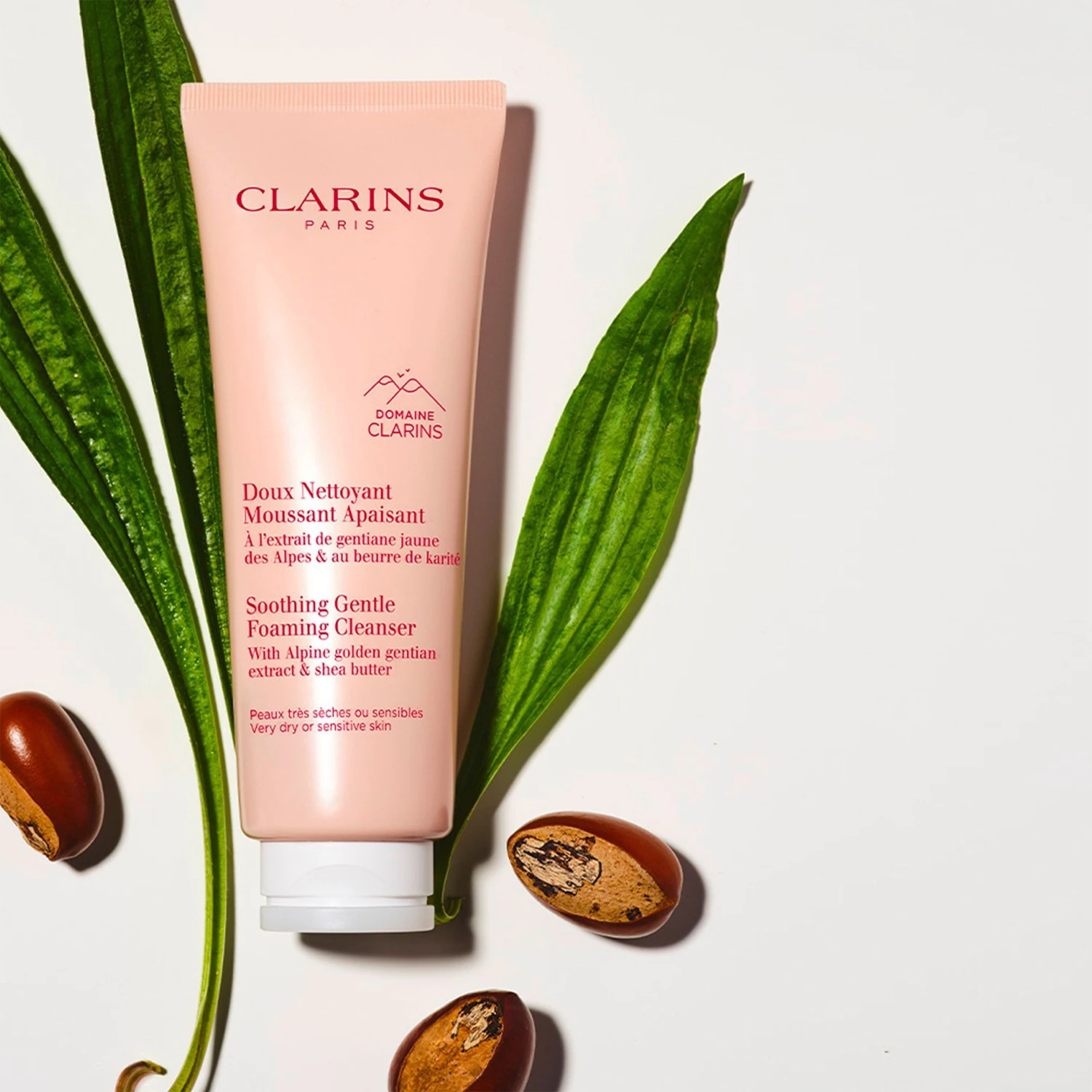 Clarins Gentle Soothing Foaming Cleanser