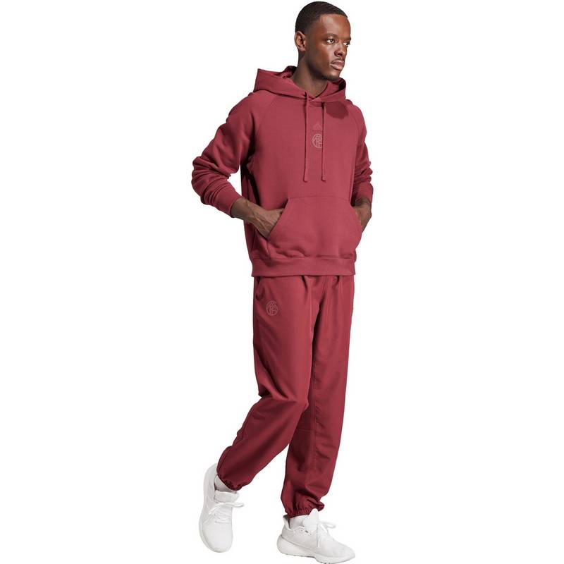 adidas FC Bayern München Hoodie Herren
