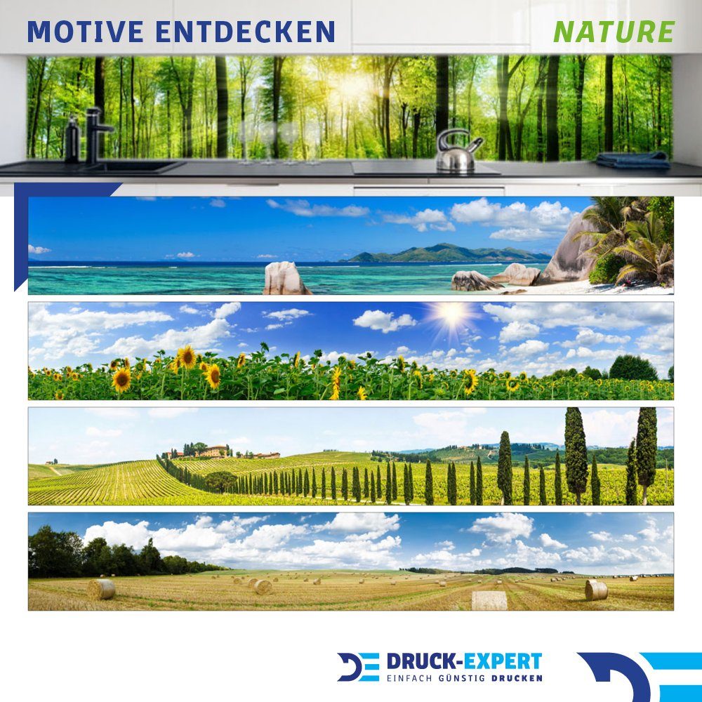 DRUCK-EXPERT Küchenrückwand Küchenrückwand Orchidee Premium Hart-PVC 0,4 mm selbstklebend