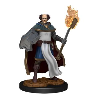 D&D Nolzur's Marvelous Miniatures - Multiclass Cleric & Wizard Male
