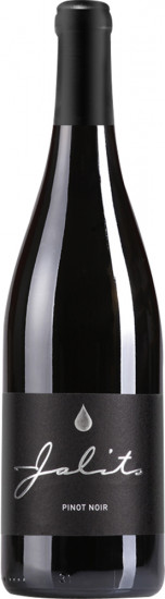 2019 Pinot Noir Ried Szapary trocken - Weingut Jalits
