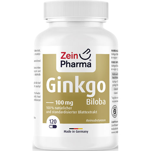 GINKGO CAPS  120 St  Kapseln