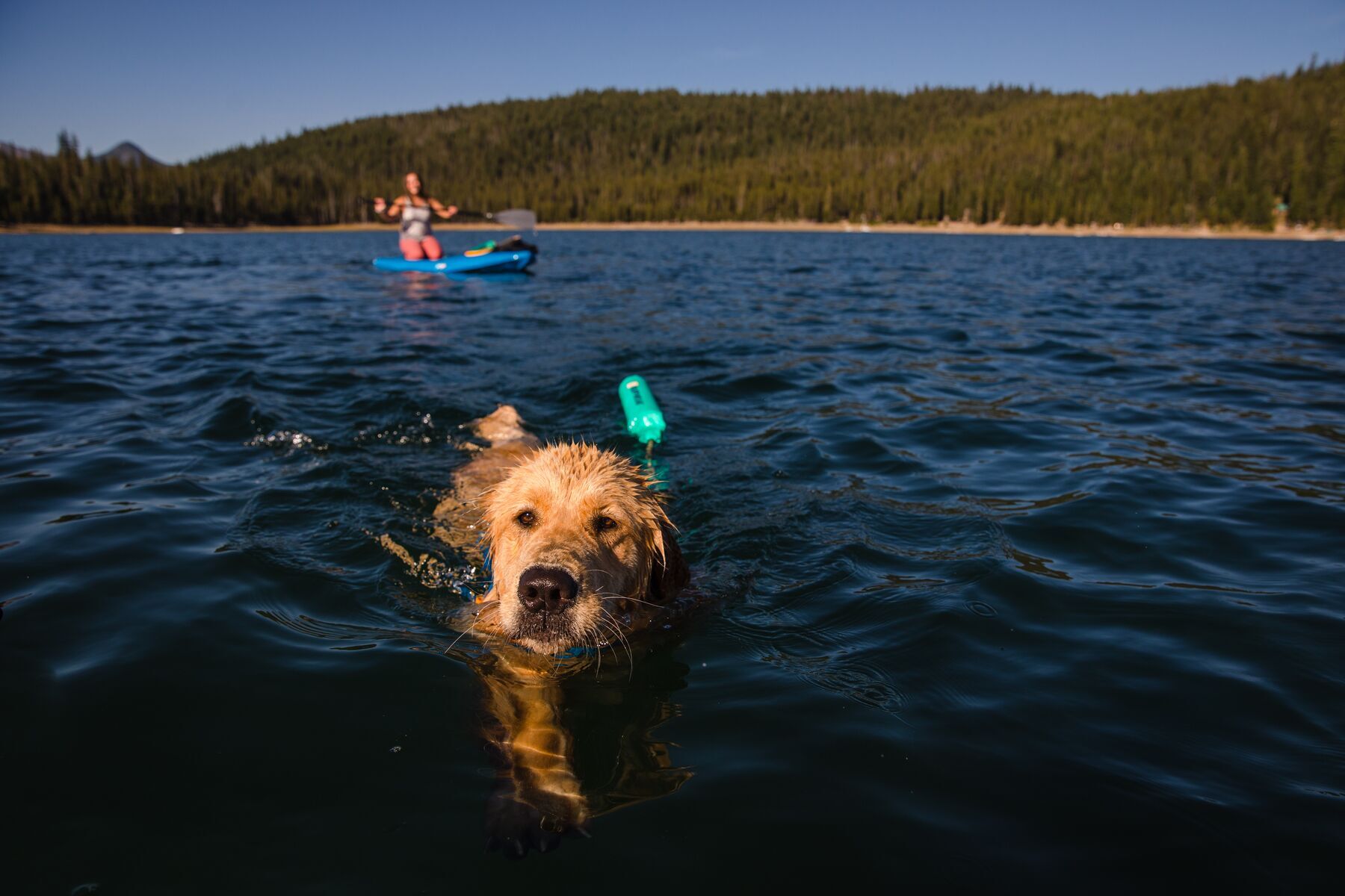 Ruffwear Wasserspielzeug Ruffwear Lunker™ Spielzeug blau/ türkis