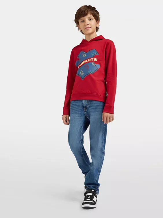 Harry Potter Hoodie