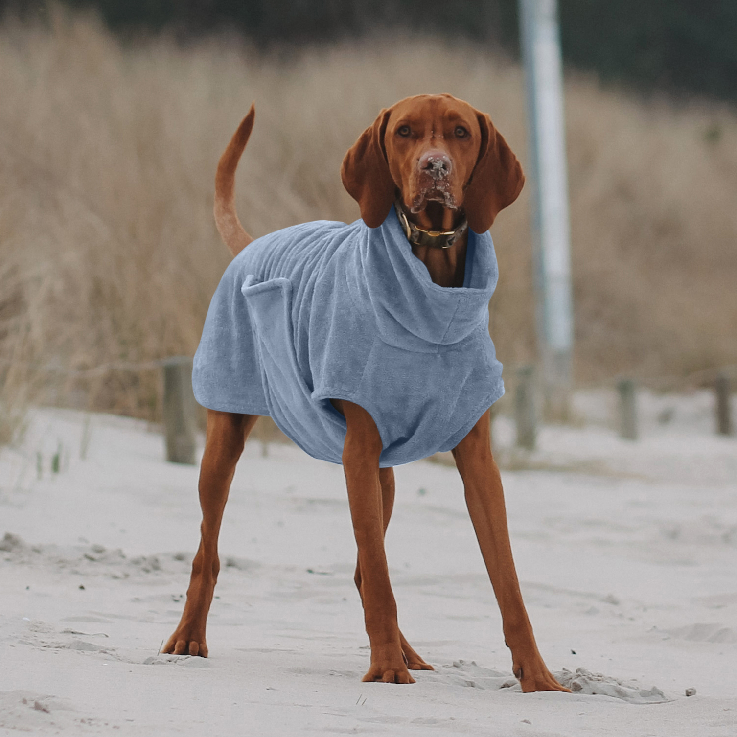 THE DOG IDEA Hundemäntel THE DOG IDEA Bademantel Every Blau XXXS