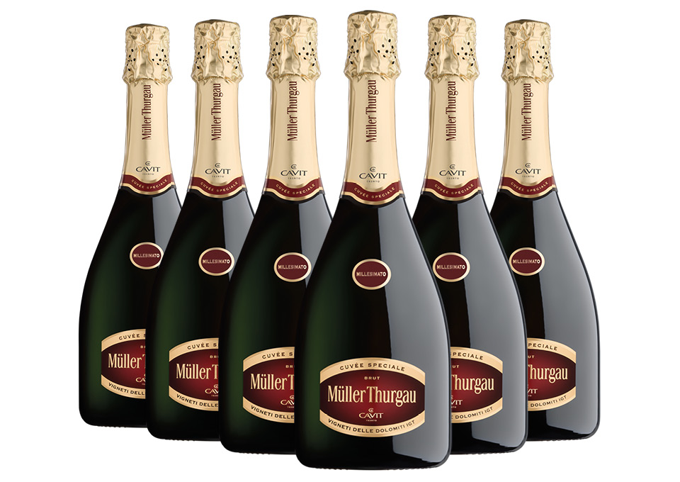 Vigneti delle Dolomiti Müller Thurgau Brut Millesimato IGT 2022 Cavit 6 bouteilles de 0,75 ℓ