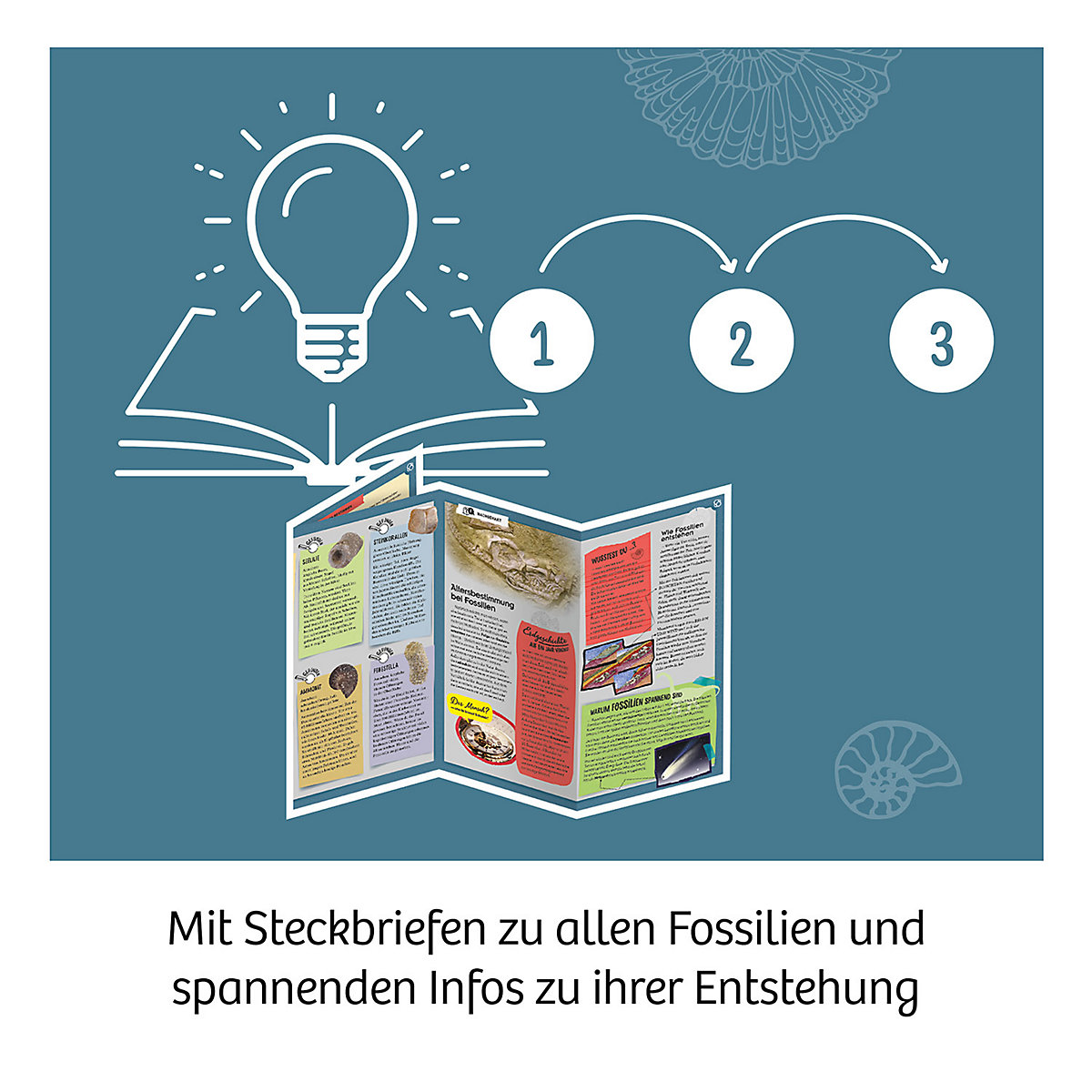 Ausgrabungs-Set Fossilien