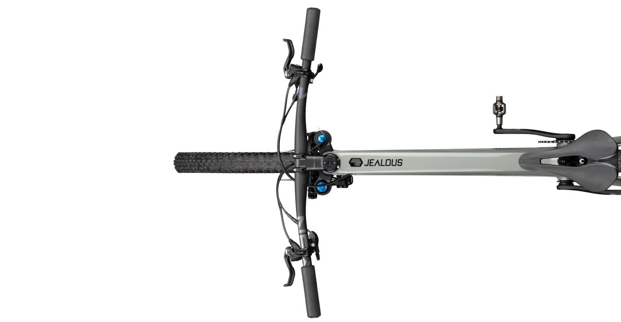Radon Jealous 8.0 kaufen | Bike-Discount