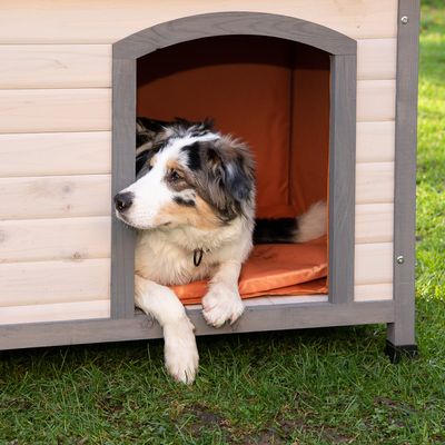 Spar-Komplettset: Trixie Natura Flachdach-Hundehütte Classic mit Isolierung