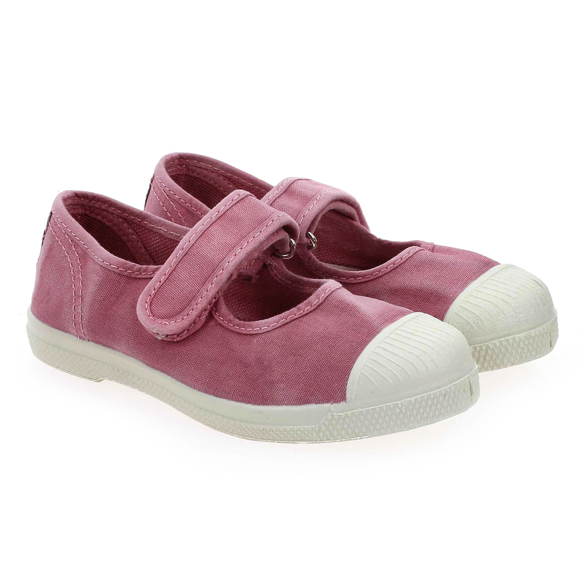 Natural world  476 E - Rose