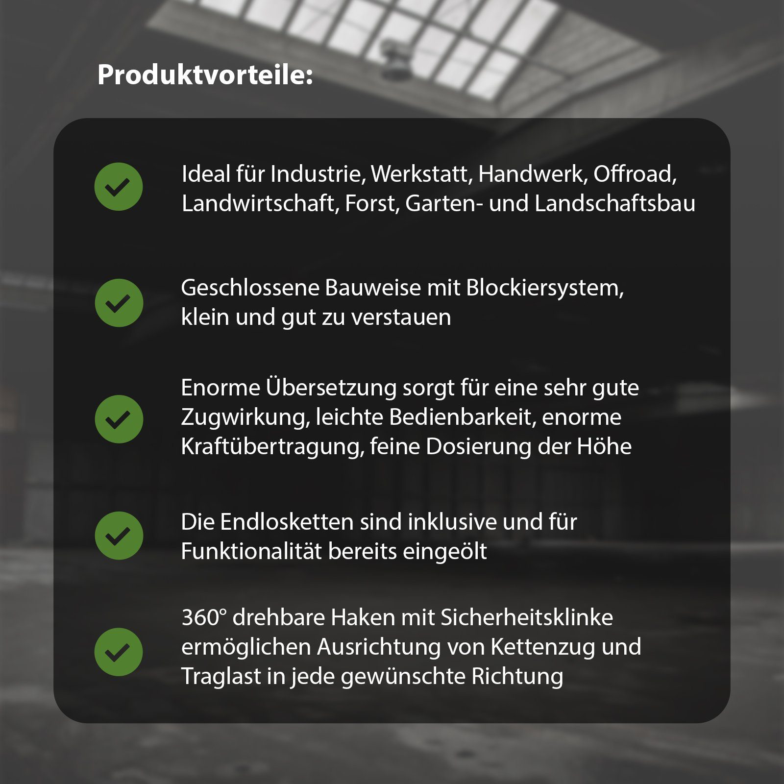 TRUTZHOLM Kettenzug TrutzHolm® Flaschenzug Seilzug Kettenzug Hebezug Ratschenzug 3000 kg, (Produkt, 1 St), Mit Blockiersystem