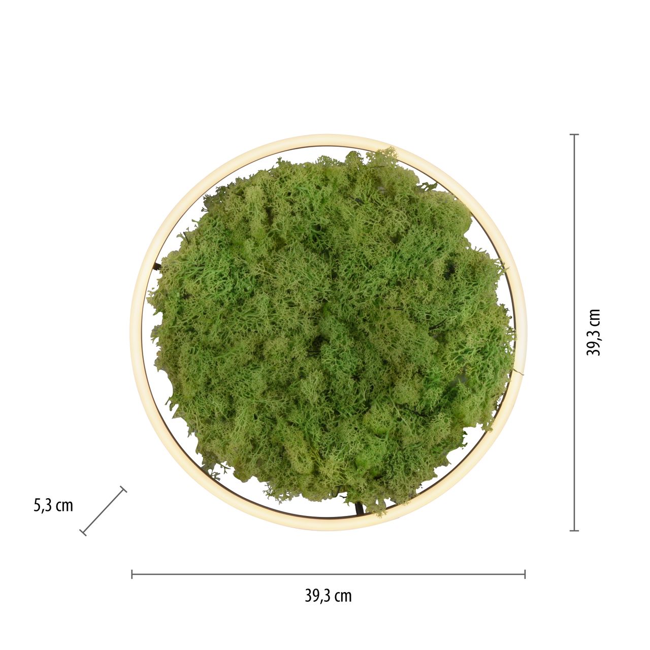 JUST LIGHT LED Deckenleuchte GREEN RITUS, 3-Stufen-Dimmer, echtes Moos, Ø39,3cm