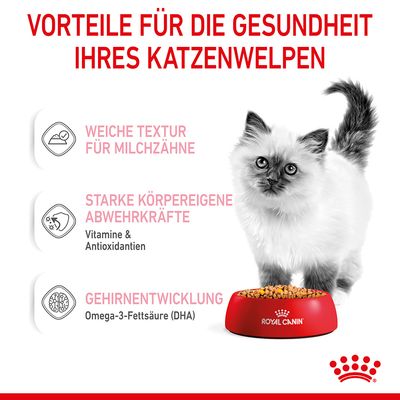 Royal Canin Kitten in Gelee