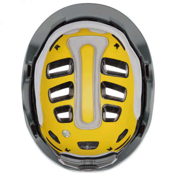 Smith - Express MIPS - Radhelm