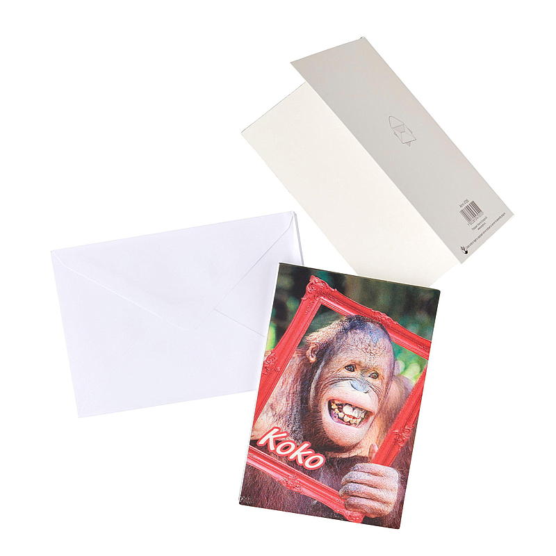Kort 3D koko ape