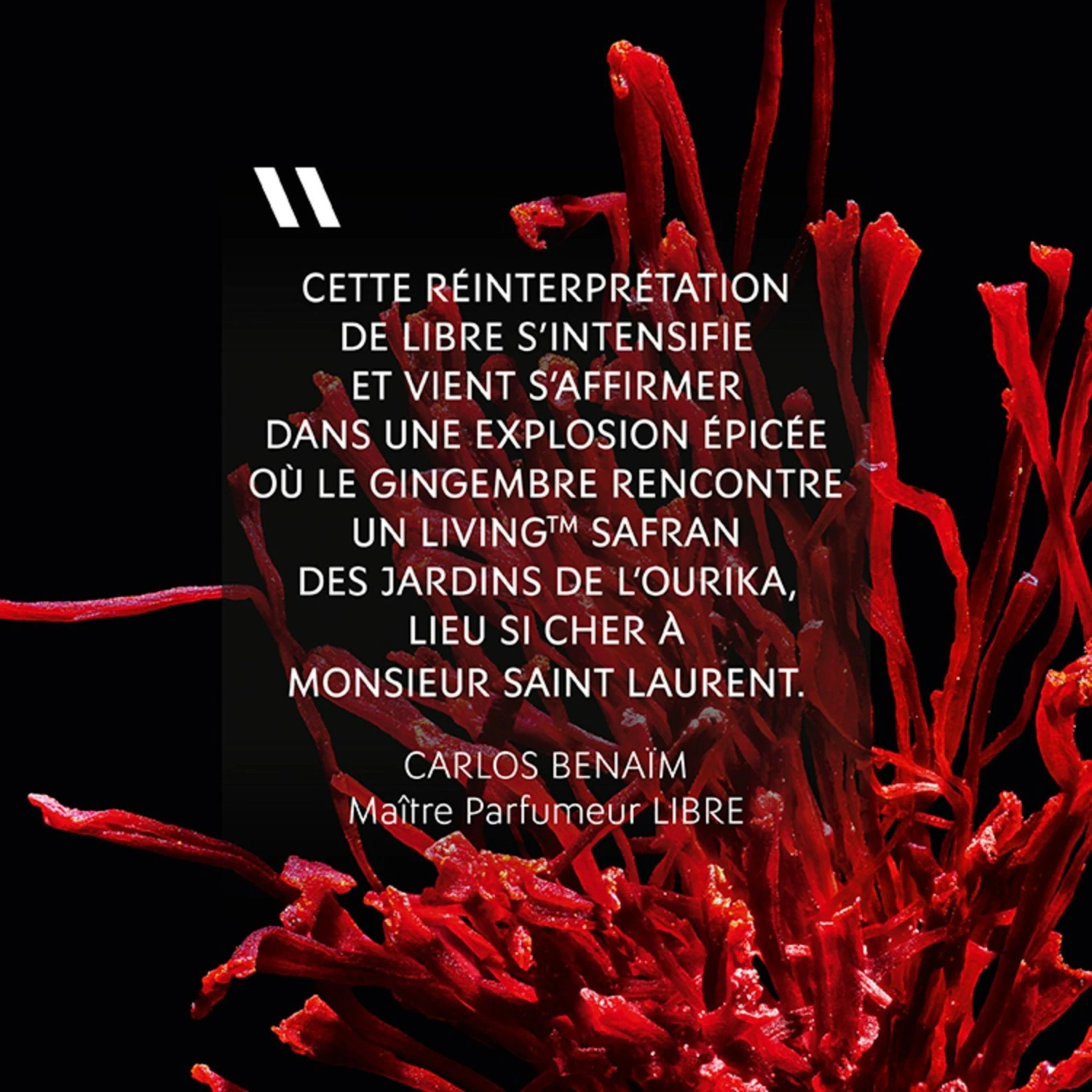 Yves Saint Laurent Le Parfum