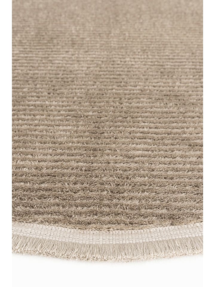 Mioli Kurzflor-Teppich ''Vetrina'' in Beige günstig kaufen