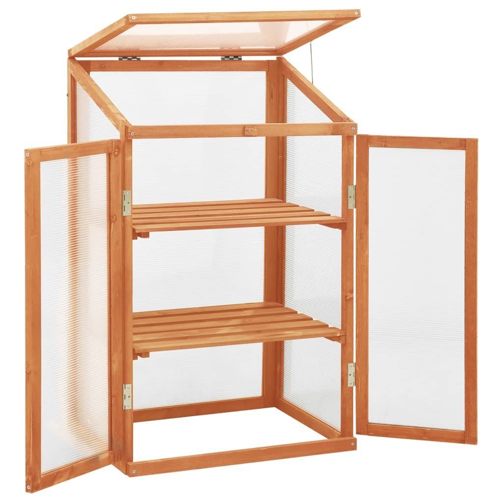 vidaXL Gewächshaus Gewächshaus 60x45x100 cm Tannenholz