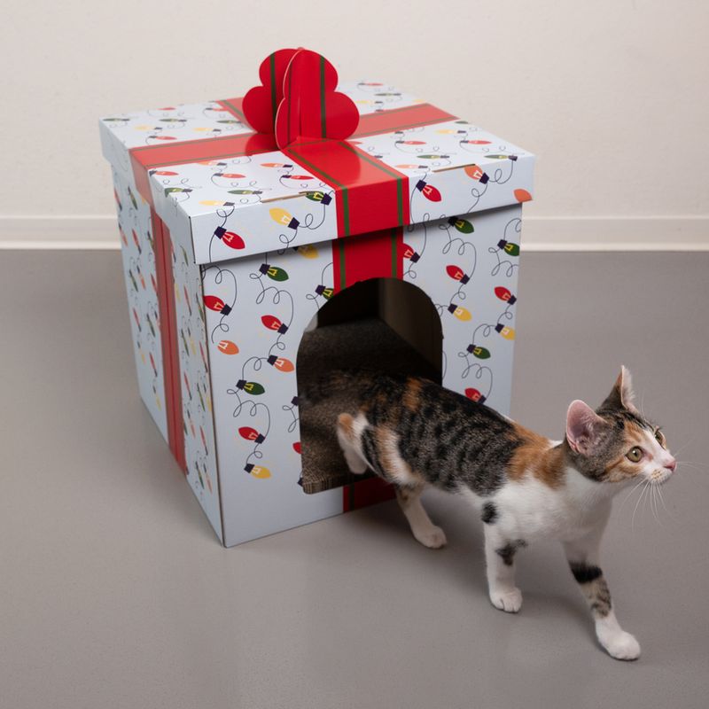 TIAKI Weihnachtskratzmöbel Geschenkbox zu TOP-Preisen | bitiba %