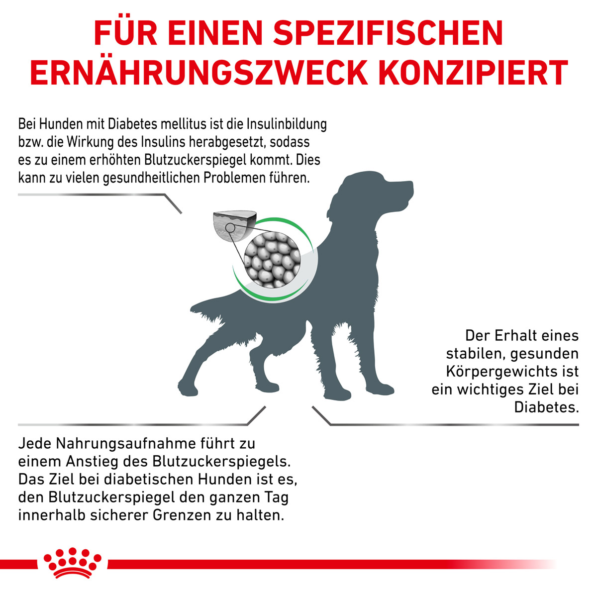 ROYAL CANIN Veterinary DIABETIC Trockenfutter für Hunde
