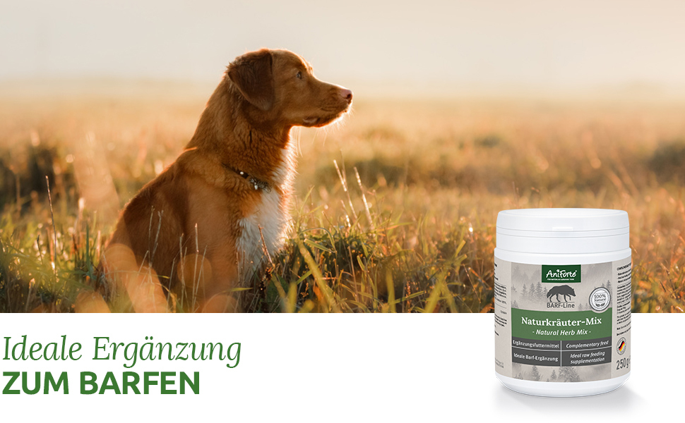 Aniforte Ergänzungsfutter & Aufzucht Aniforte BARF-Line Naturkräuter Mix 250g