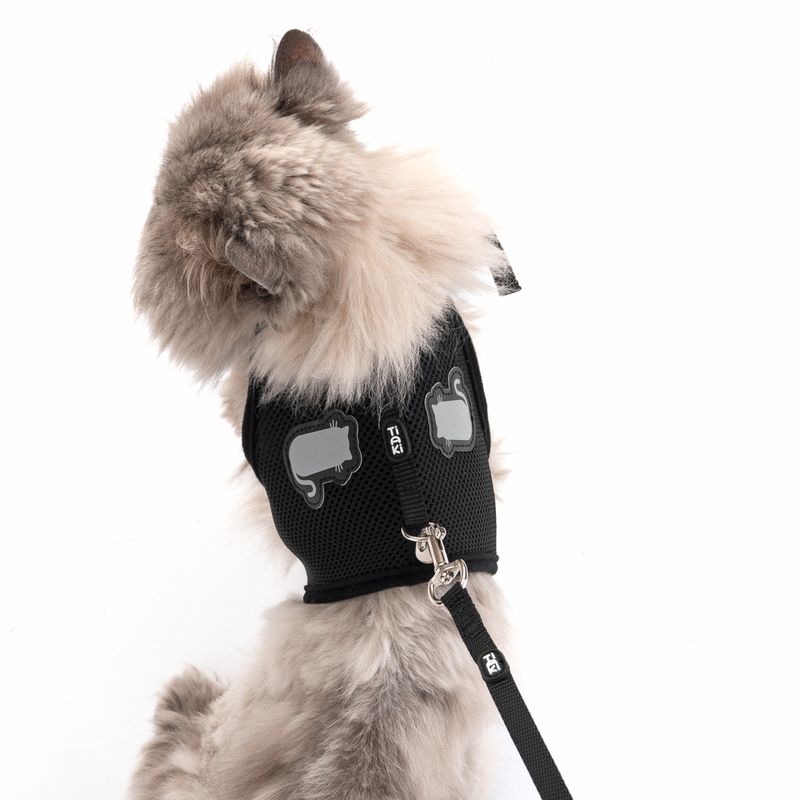 TIAKI Katzengeschirr Comfy mit Leine zu TOP-Preisen