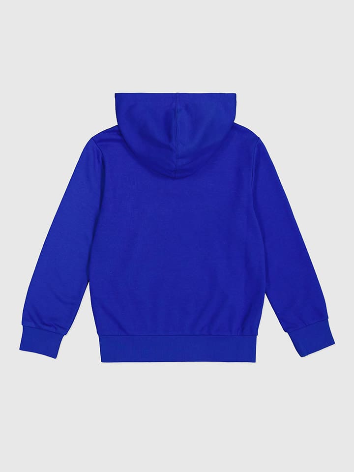 Champion Hoodie in Blau günstig kaufen