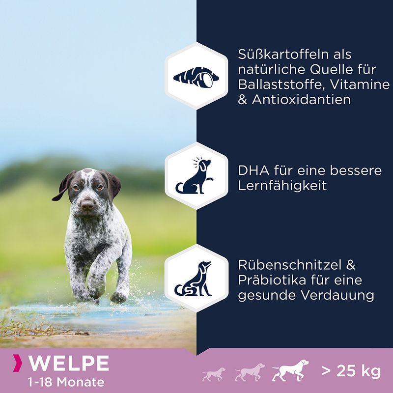 Eukanuba Grain Free Puppy Large Breed Lachs