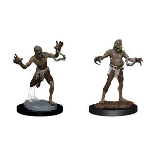 Critical Role Miniaturen unbemalt Husk Zombies (2)