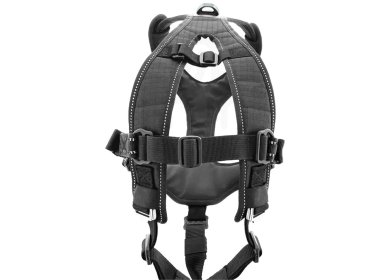 Raidlight Harnais i-Dog