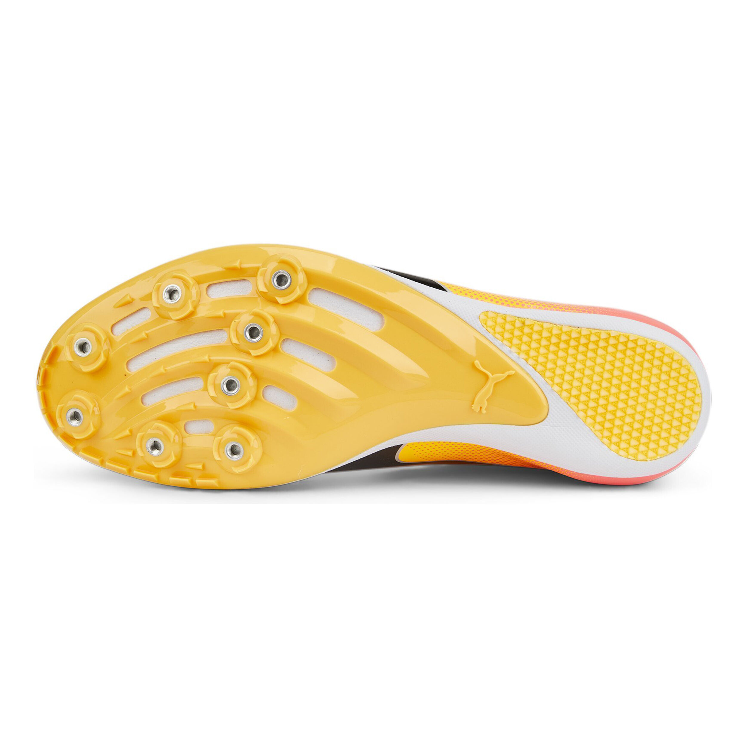 EvoSPEED Sprint 14 Spikeschuh - Gelb, Orange