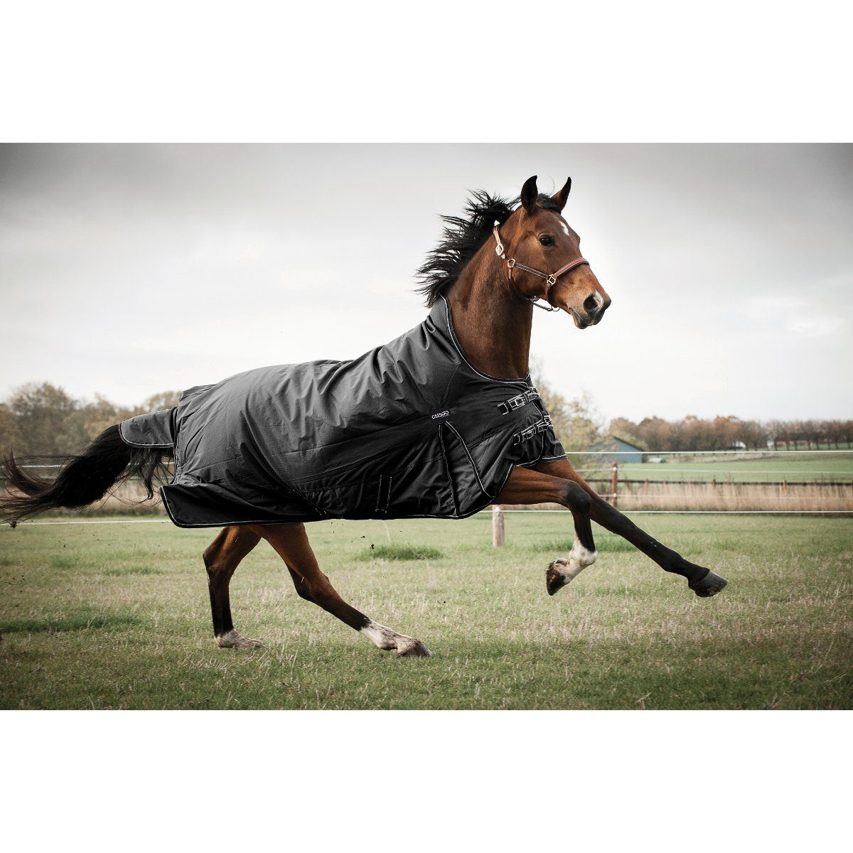 CATAGO Pferde-Thermodecke CATAGO Outdoordecke Justin für Pferde, 0g - schwarz