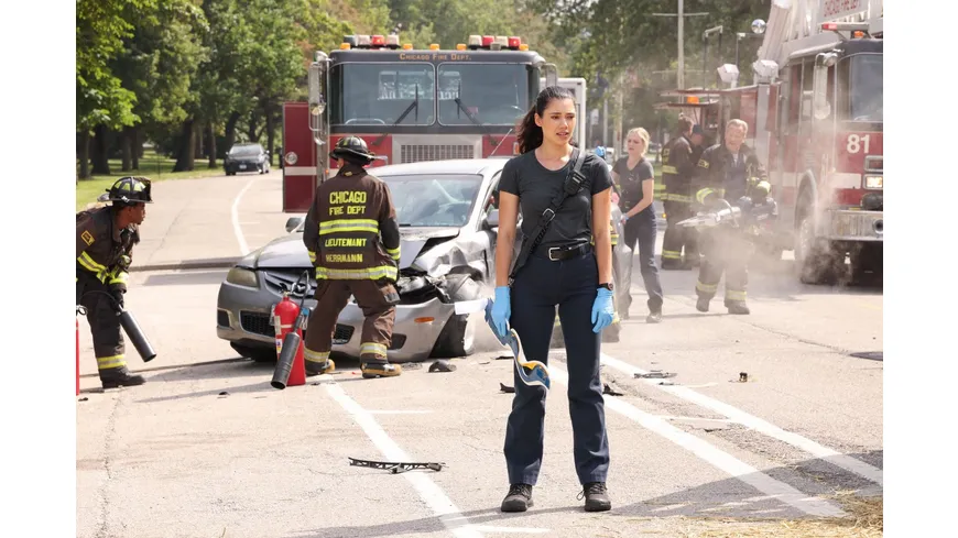 Chicago Fire - Staffel 11  [5 BRs]